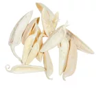 Dárda hegy fehérített 12dkg/csom