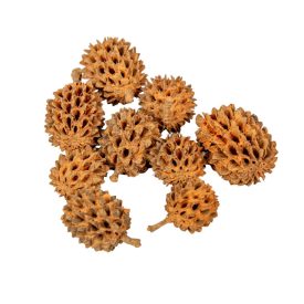 Casuarina falfestékes narancs 17dkg/csom