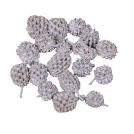 Casuarina falfestékes lila 17dkg/csom