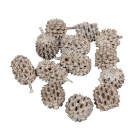 Casuarina falfestékes szürke 17dkg/csom