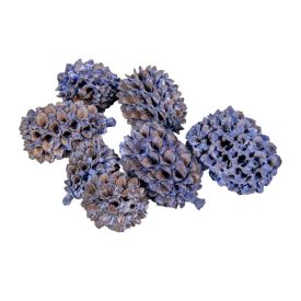 Casuarina falfestékes very peri 17dkg/csom