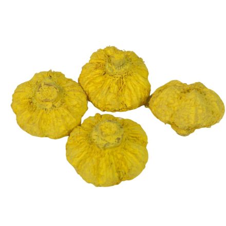 Fokhagyma termés falfestékes sárga 11dkg/csom