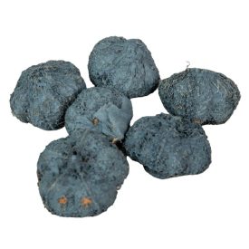 Fokhagyma termés falfestékes acélkék 10dkg/csom