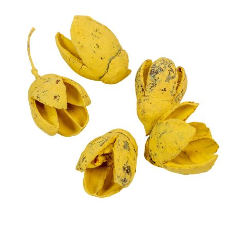 Bakuli falfestékes sárga 16dkg/csom