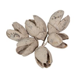 Bakuli falfestékes szürke 16dkg/csom