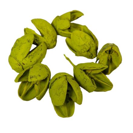 Bakuli falfestékes olíva 16dkg/csom