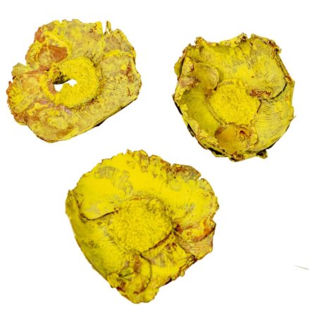 Kókusz virág falfestékes sárga 16dkg/csom