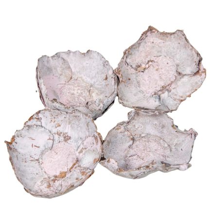Kókusz virág falfestékes rózsaszín 16dkg/csom