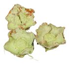 Kókusz virág falfestékes halványzöld 16dkg/csom