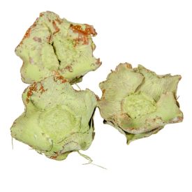 Kókusz virág falfestékes halványzöld 16dkg/csom