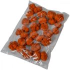 Fokhagyma termés falfestékes vil.barna 10dkg/csom