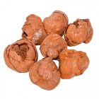 Kókusz mini falfestékes vil.barna 22dkg/csom