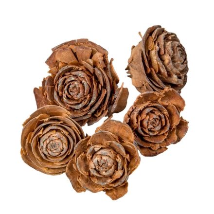 Cédrus rózsa fej 3-5cm natúr 15dkg/csom