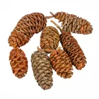 Éger indiai natúr 17dkg/csom