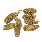 Éger indiai arany 10dkg/csom