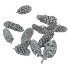 Éger indiai ezüst 10dkg/csom