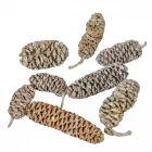 Éger indiai zúzmarás 12dkg/csom