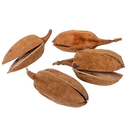 Páncélos lili natúr 14db-os