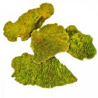 Tapló vil.zöld 15dkg/csom