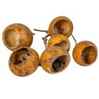 Bell cup mini natúr 30db-os