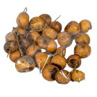 Bell cup mini natúr 30db-os