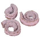 Kosszarv felezett falfestékes mályva 22dkg/csom