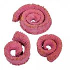 Kosszarv felezett falfestékes szeder 22dkg/csom