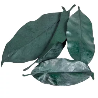 Magnolia levél prep. söt.zöld 20dkg/csom