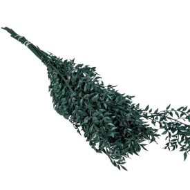 Ruscus söt.zöld 20dkg/csom