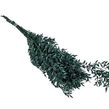 Ruscus söt.zöld 20dkg/csom