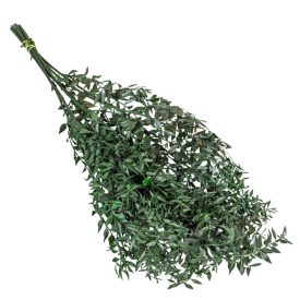 Ruscus vil.zöld 20dkg/csom