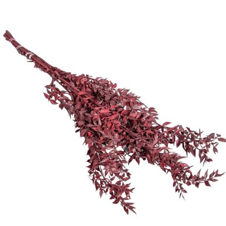 Ruscus bordó 20dkg/csom