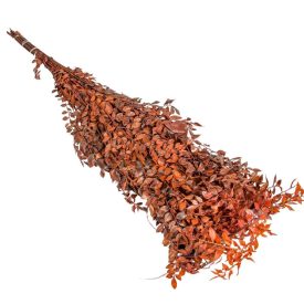 Ruscus narancs 16dkg/csom