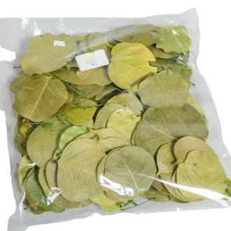 Moneta levél mohazöld 8,5dkg/csom
