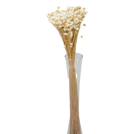 Glixia natúr 5dkg/csom