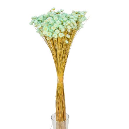 Glixia aqua 5dkg/csom