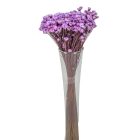 Glixia lila 5dkg/csom