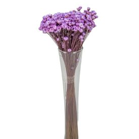 Glixia lila 5dkg/csom