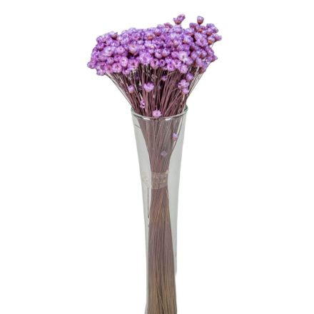 Glixia lila 5dkg/csom