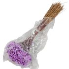 Glixia lila 5dkg/csom