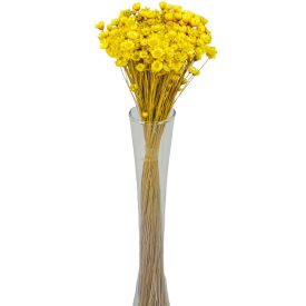 Glixia sárga 5dkg/csom