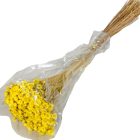 Glixia sárga 5dkg/csom