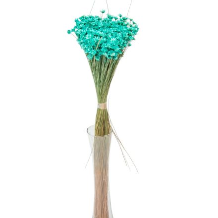 Glixia türkiz 5dkg/csom