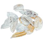 Asa Barata/Őznyelv mini zúzmarás 8dkg/csom