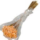 Glixia barack 5dkg/csom