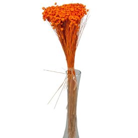 Glixia narancs 5dkg/csom