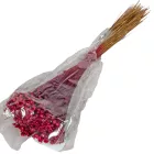 Glixia bordó 5dkg/csom