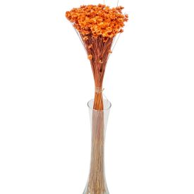 Glixia barna 5dkg/csom