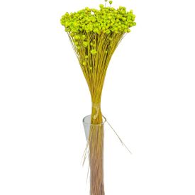 Glixia vil.zöld 5dkg/csom