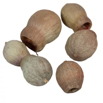 Eukalyptus/Bell Gum natúr 15dkg/csom